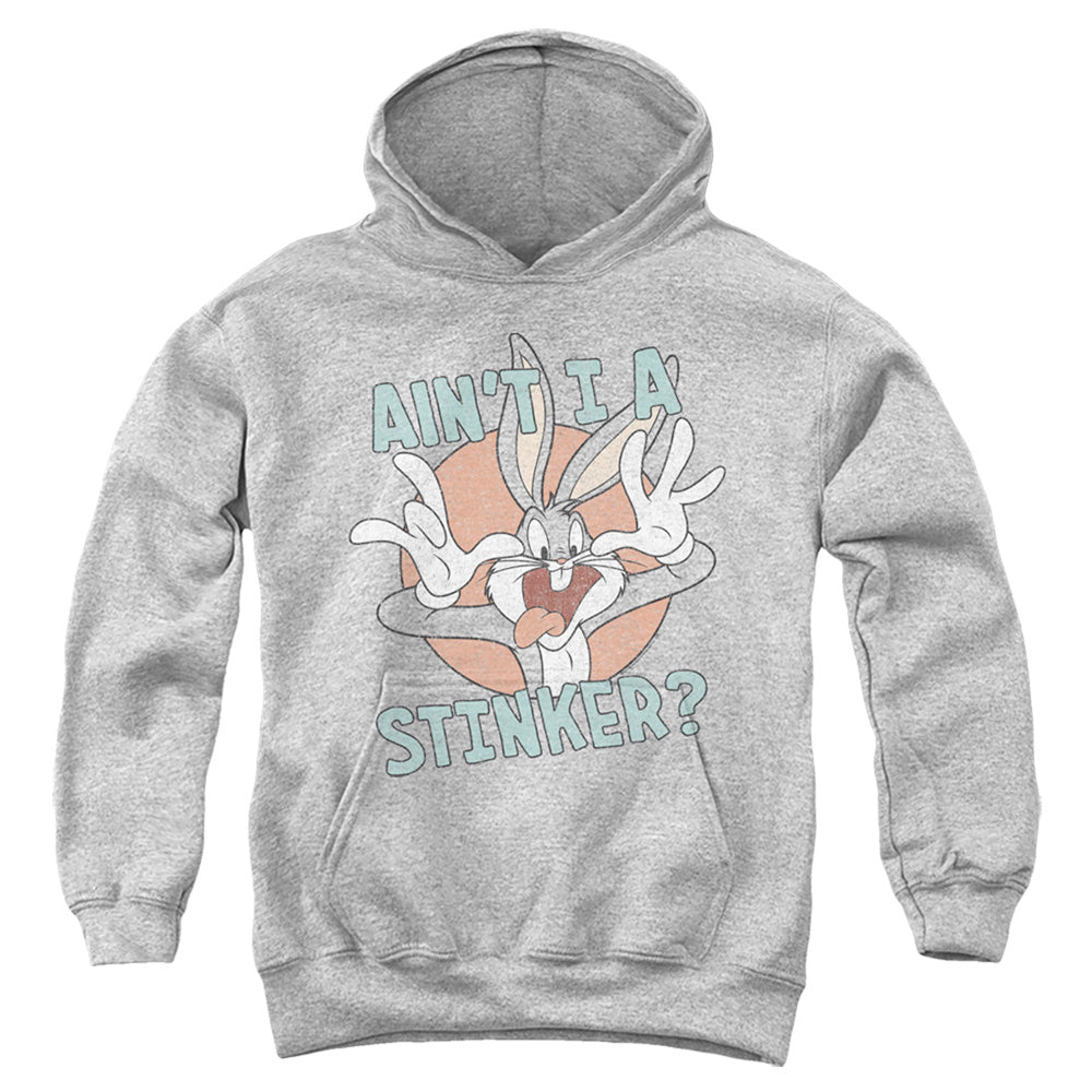 Looney Tunes Aint I a Stinker Kids Youth Hoodie Athletic Heather