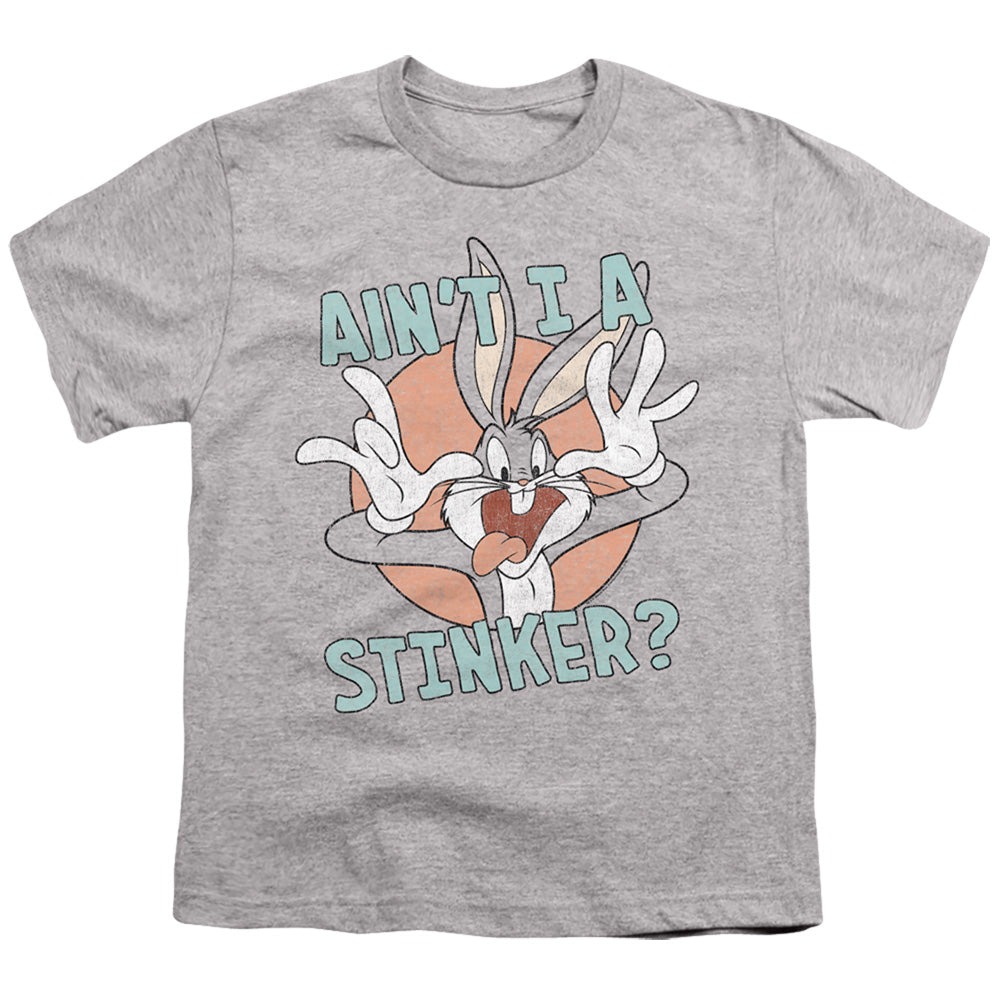 Looney Tunes Aint I a Stinker Kids Youth T Shirt Athletic Heather