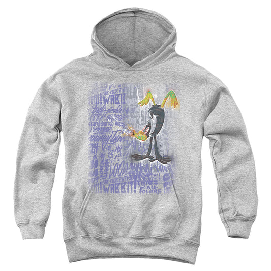 Looney Tunes Graffiti Duck Kids Youth Hoodie Athletic Heather