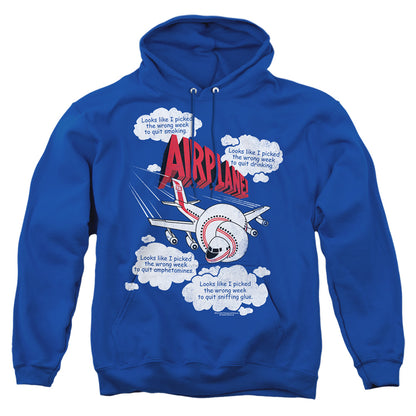 Airplane Picked The Wrong Day Mens Hoodie Royal Blue