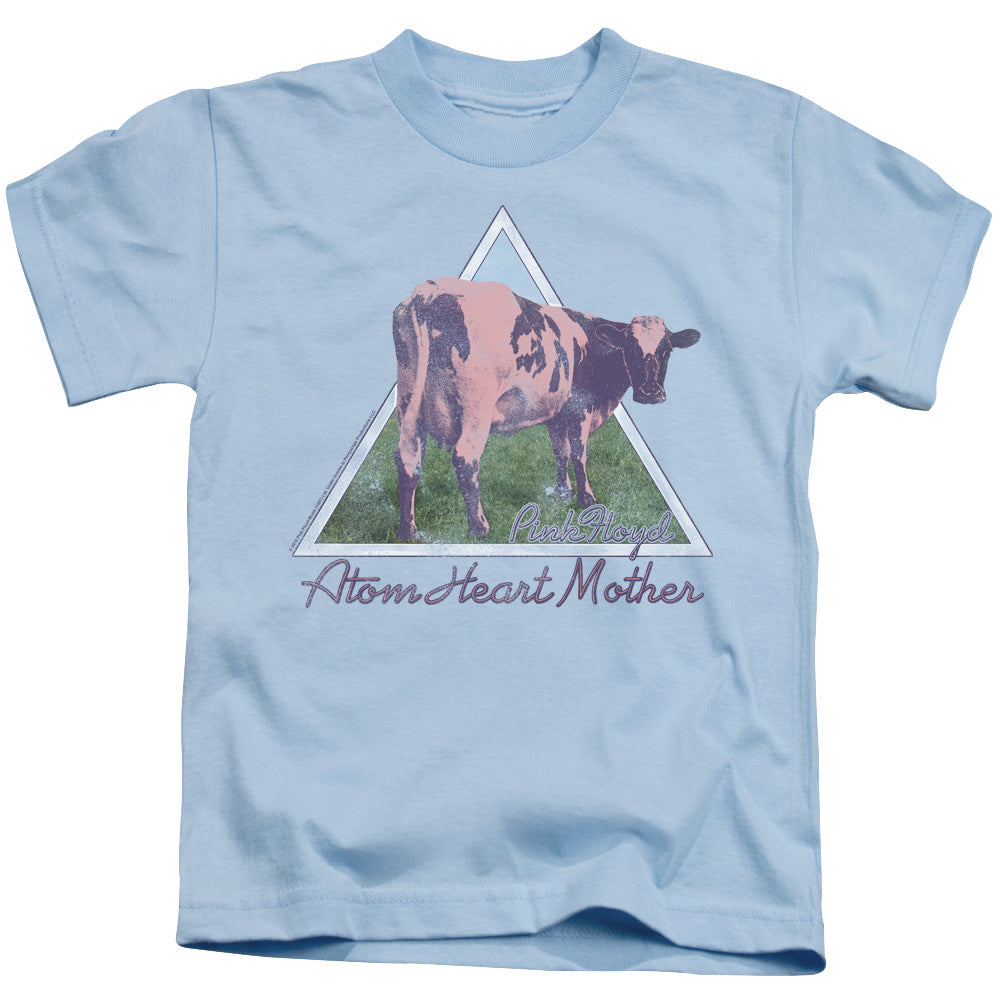 Pink Floyd Atom Mother Heart Pyramid Juvenile Kids Youth T Shirt Light Blue