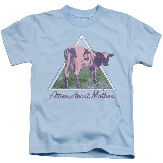 Pink Floyd Atom Mother Heart Pyramid Juvenile Kids Youth T Shirt Light Blue