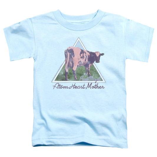 Pink Floyd Atom Mother Heart Pyramid Toddler Kids Youth T Shirt Light Blue