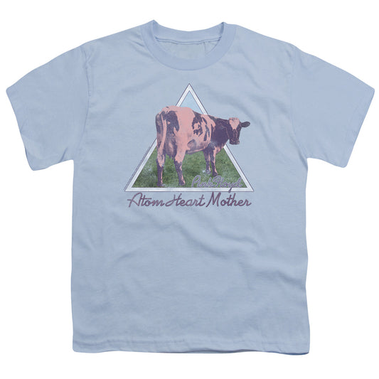 Pink Floyd Atom Mother Heart Pyramid Kids Youth T Shirt Light Blue