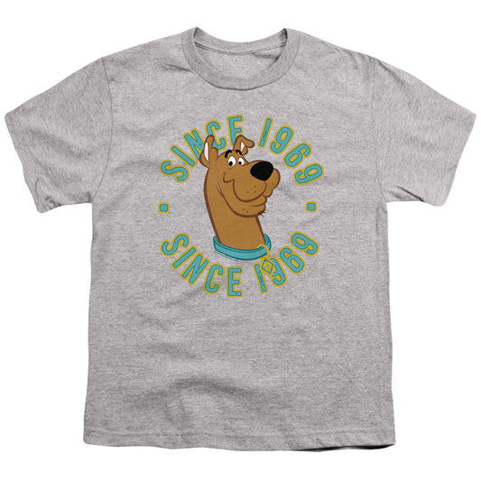 Scooby Doo Scooby 1969 Kids Youth T Shirt Athletic Heather