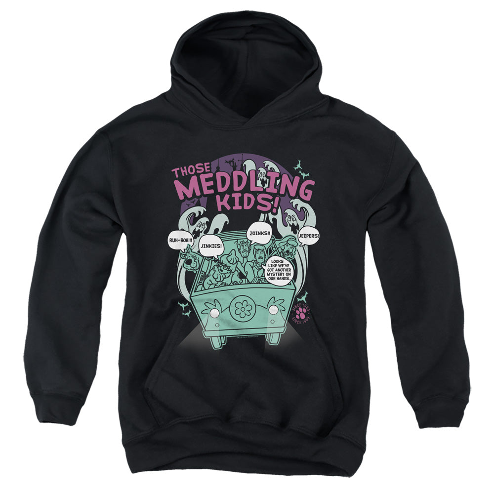 Scooby Doo Meddling Since 1969 Kids Youth Hoodie Black