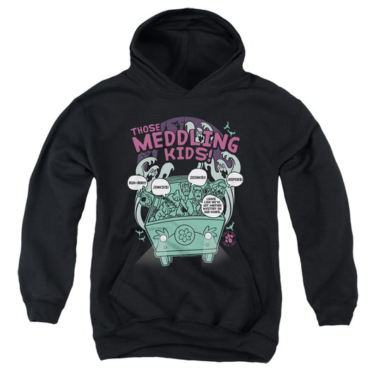 Scooby Doo Meddling Since 1969 Kids Youth Hoodie Black