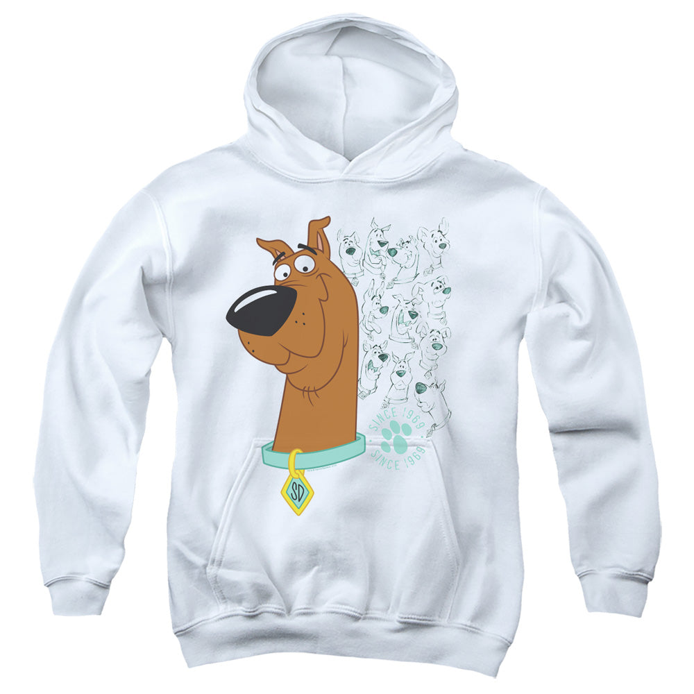 Scooby Doo Evolution Of Scooby Doo Kids Youth Hoodie White