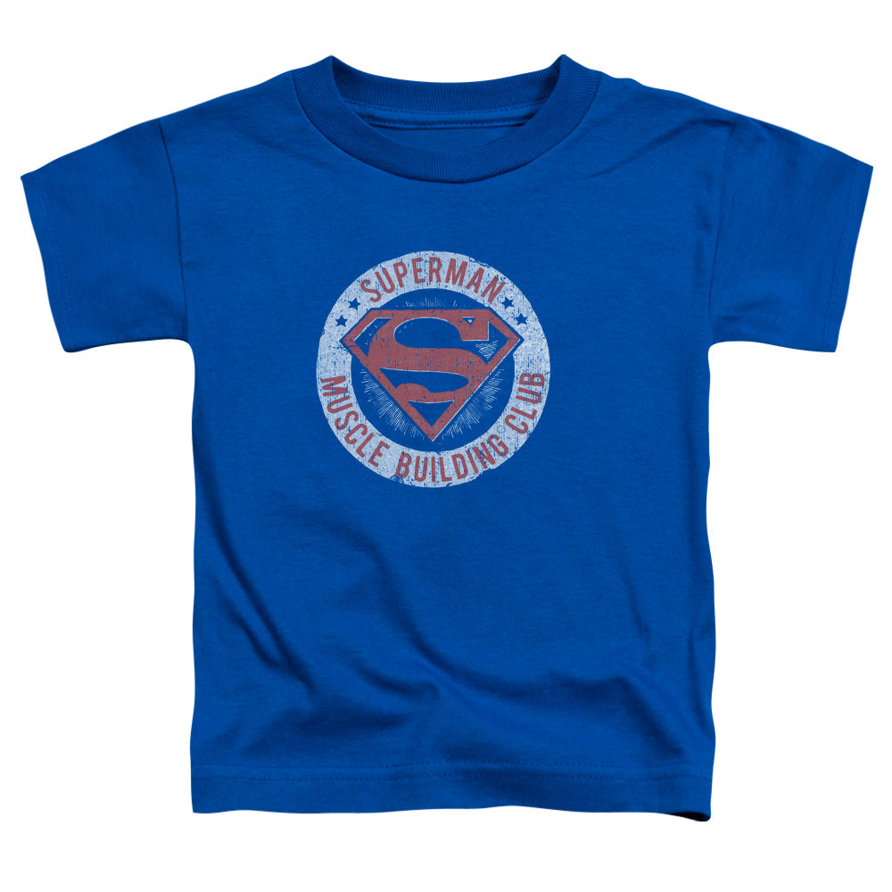 Superman Muscle Club Toddler Kids Youth T Shirt Royal Blue