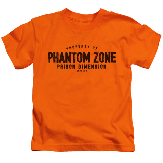 Superman Phantom Zone Juvenile Kids Youth T Shirt Orange