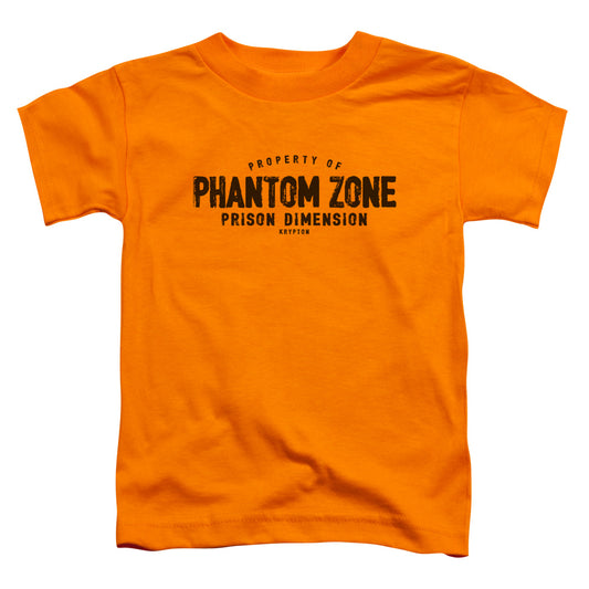 Superman Phantom Zone Toddler Kids Youth T Shirt Orange