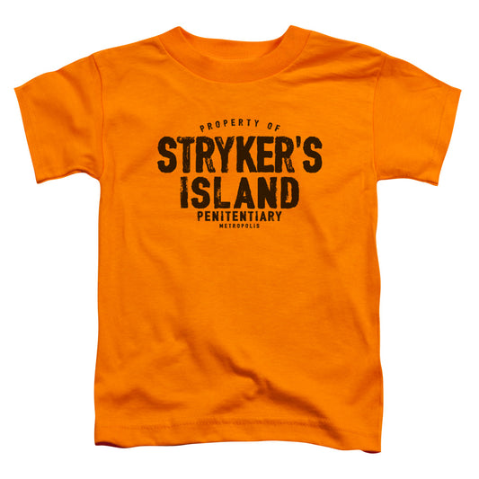 Superman Strykers Island Toddler Kids Youth T Shirt Orange