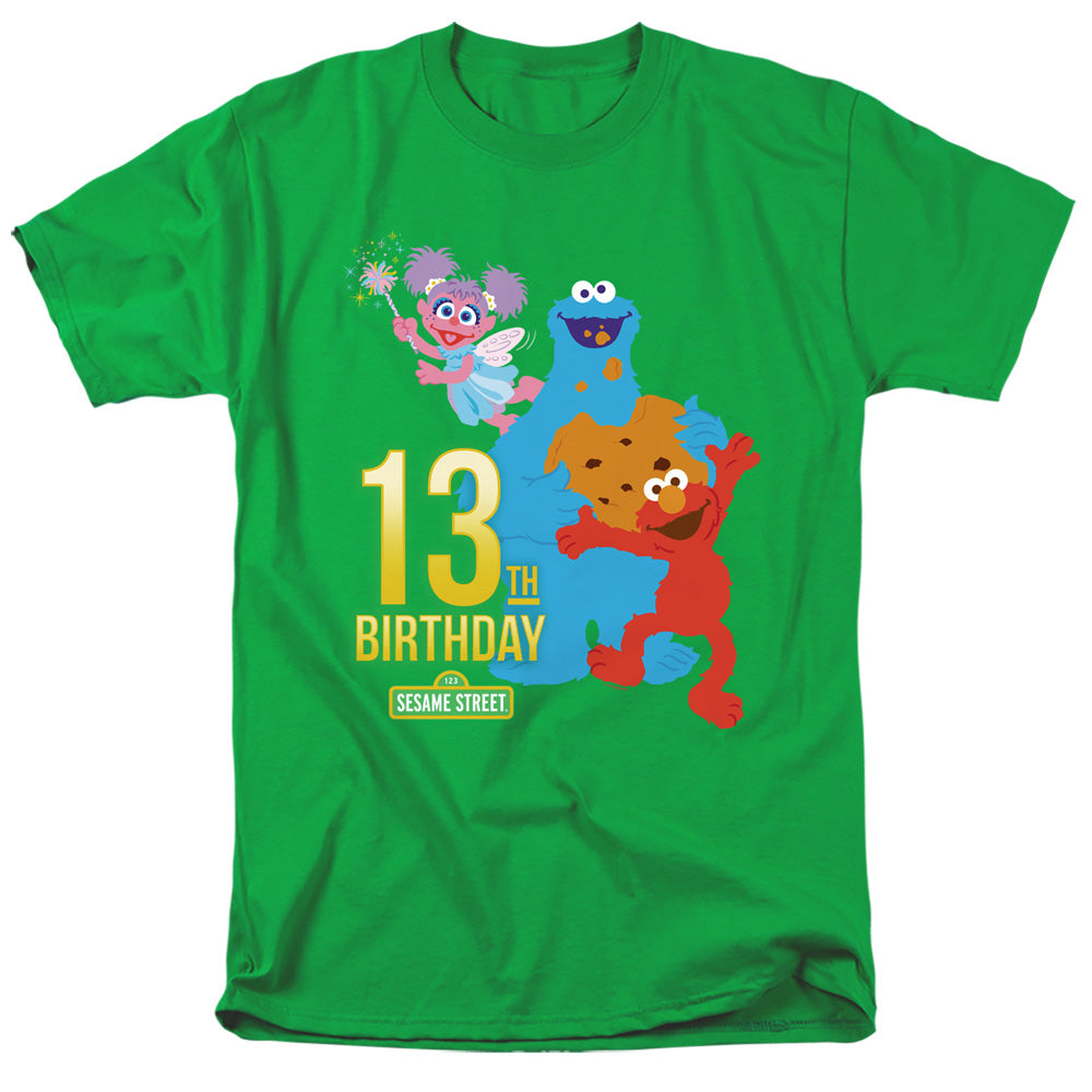 Sesame Street 13Th Birthday Mens T Shirt Kelly Green