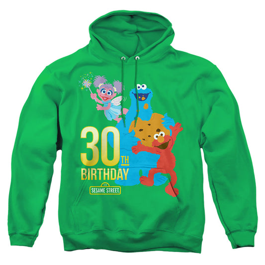 Sesame Street 30Th Birthday Mens Hoodie Kelly Green