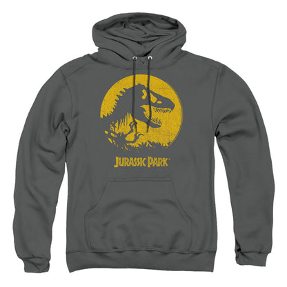 Jurassic Park T Rex Sphere Mens Hoodie Charcoal