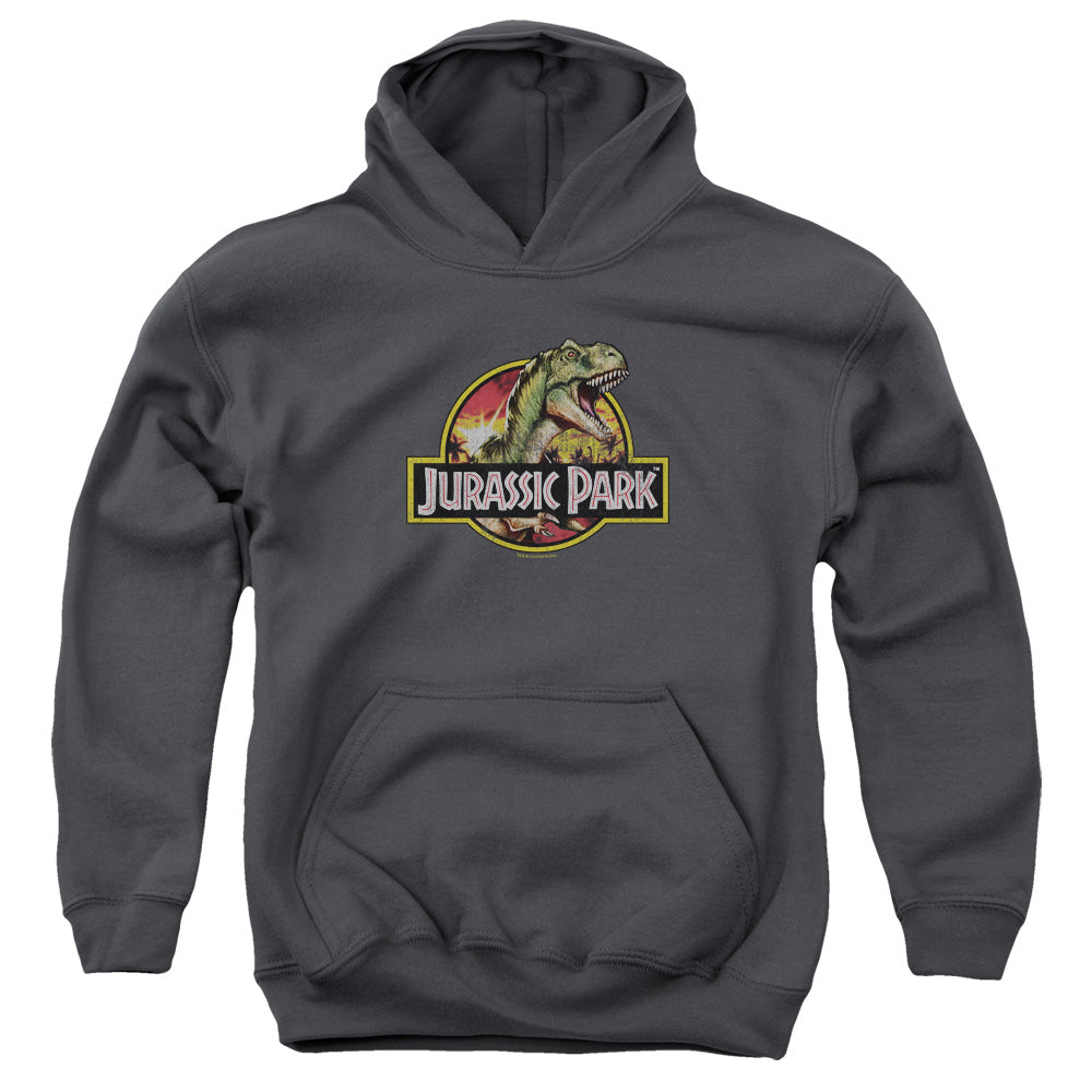 Jurassic Park Retro Rex Kids Youth Hoodie Charcoal