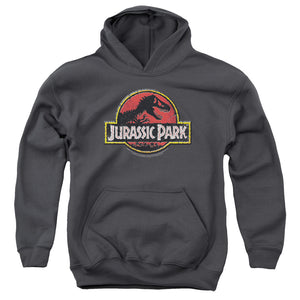 Jurassic Park Stone Logo Kids Youth Hoodie Charcoal