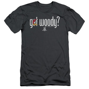 Woody Woodpecker Got Woody Slim Fit Mens T Shirt Charcoal