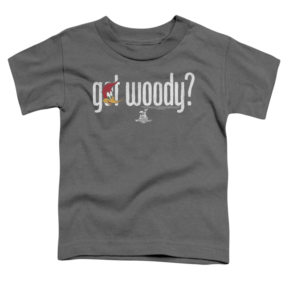 Woody Woodpecker Got Woody Toddler Kids Youth T Shirt Charcoal