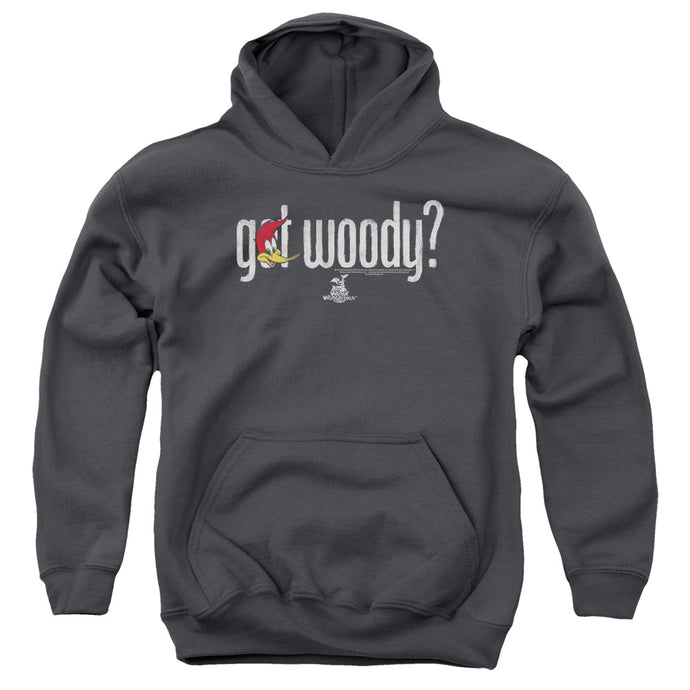 Woody Woodpecker Got Woody Kids Youth Hoodie Charcoal