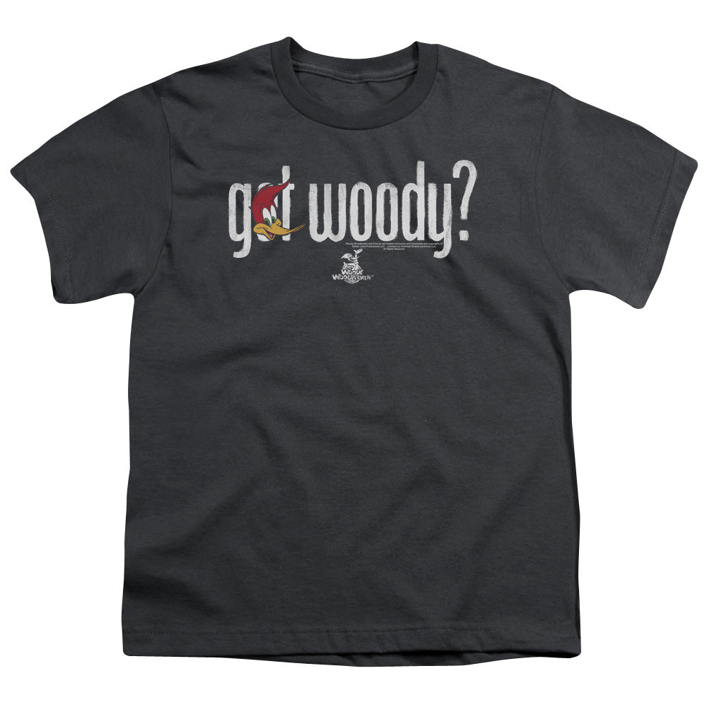 Woody Woodpecker Got Woody Kids Youth T Shirt Charcoal