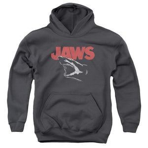 Jaws Cracked Jaw Kids Youth Hoodie Charcoal