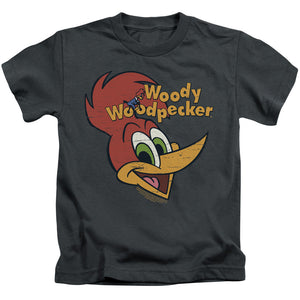 Woody Woodpecker Retro Logo Juvenile Kids Youth T Shirt Charcoal