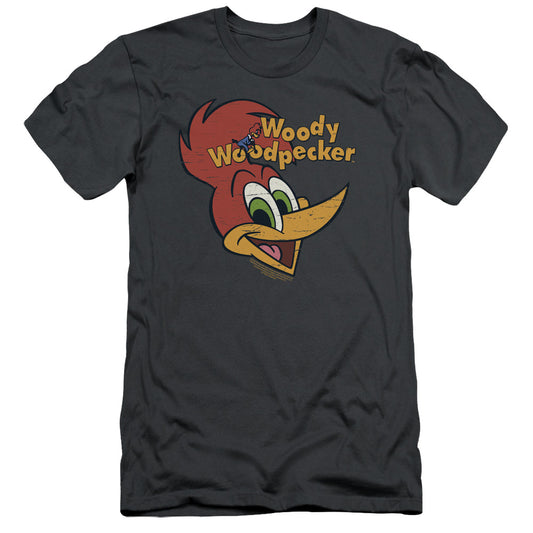 Woody Woodpecker Retro Logo Slim Fit Mens T Shirt Charcoal