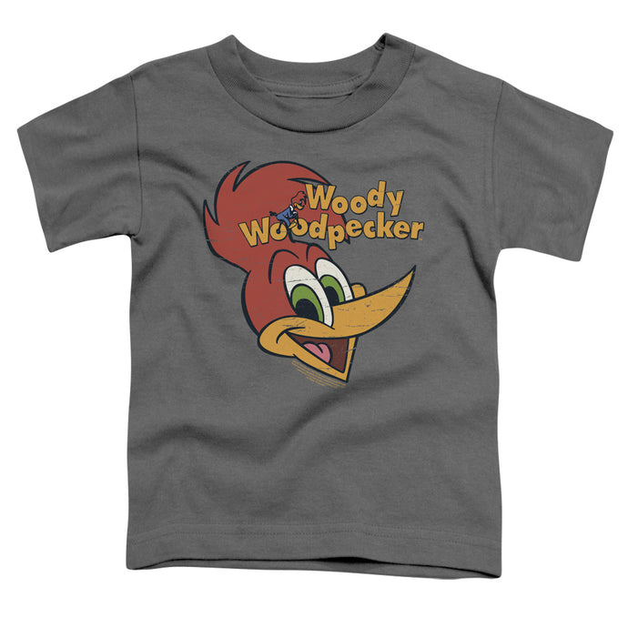 Woody Woodpecker Retro Logo Toddler Kids Youth T Shirt Charcoal