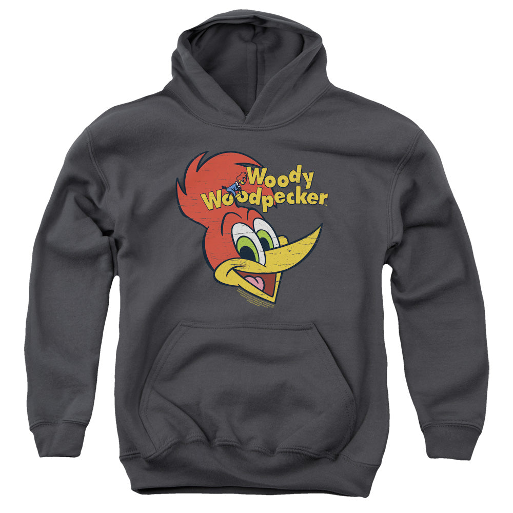 Woody Woodpecker Retro Logo Kids Youth Hoodie Charcoal