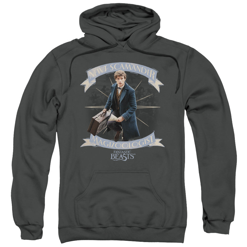 Fantastic Beasts Newt Scamander Mens Hoodie Charcoal