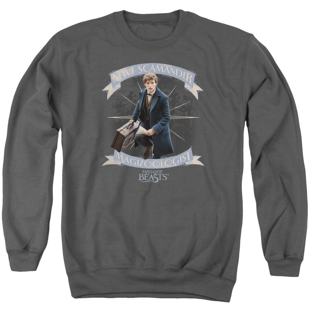 Fantastic Beasts Newt Scamander Mens Crewneck Sweatshirt Charcoal