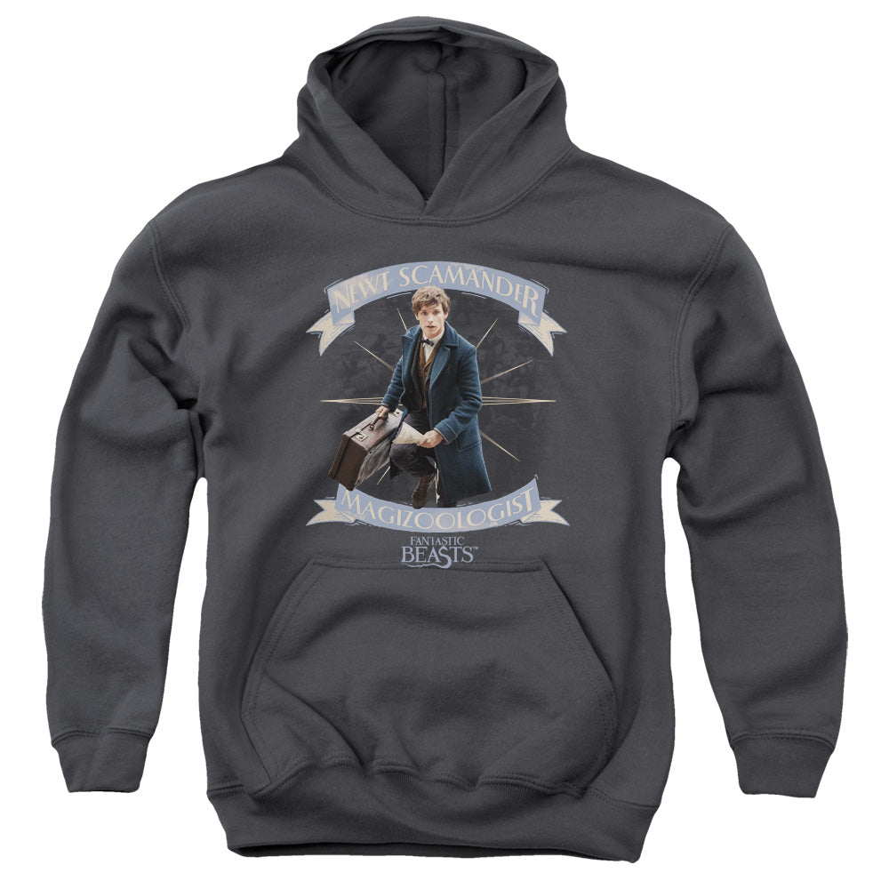 Fantastic Beasts Newt Scamander Kids Youth Hoodie Charcoal