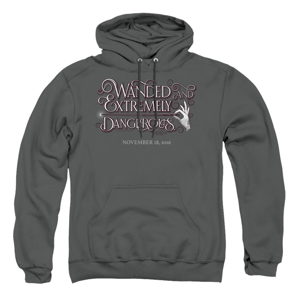 Fantastic Beasts Wanded Mens Hoodie Charcoal