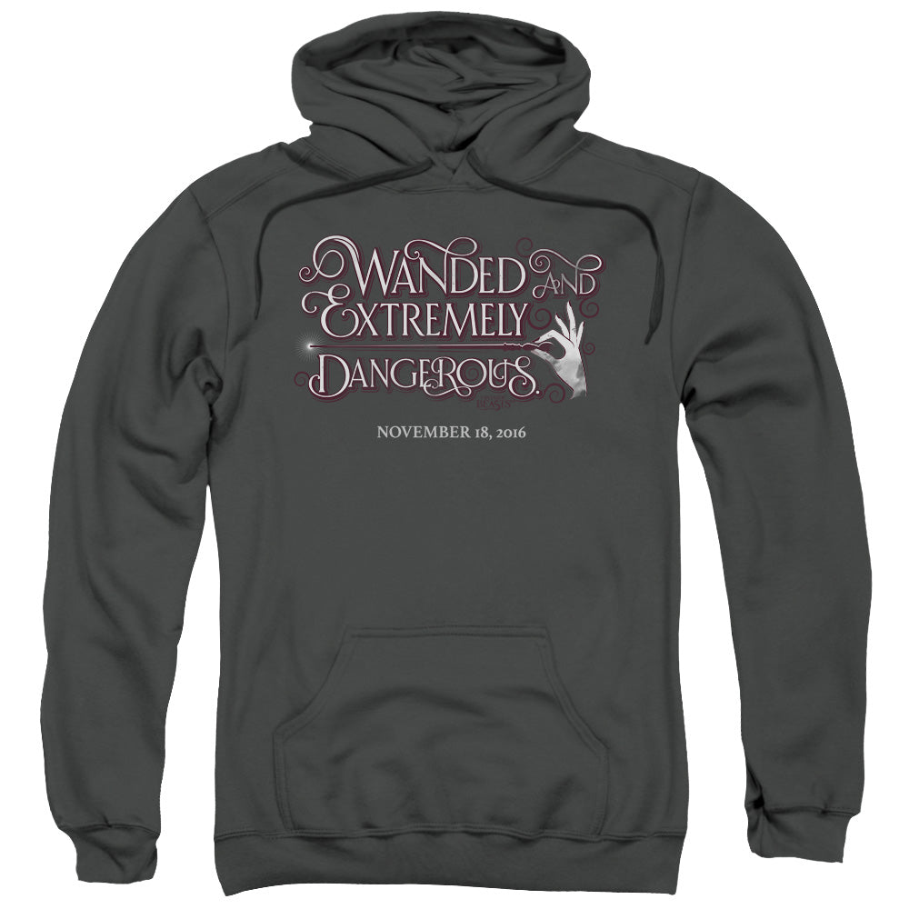 Fantastic Beasts Wanded Mens Hoodie Charcoal