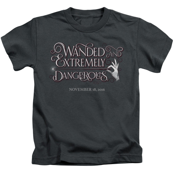 Fantastic Beasts Wanded Juvenile Kids Youth T Shirt Charcoal