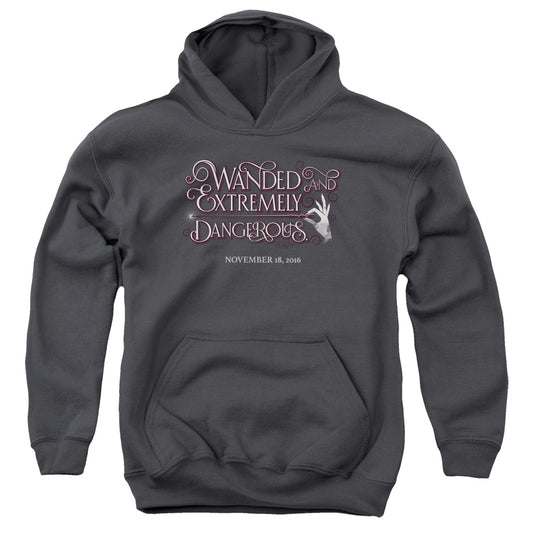 Fantastic Beasts Wanded Kids Youth Hoodie Charcoal