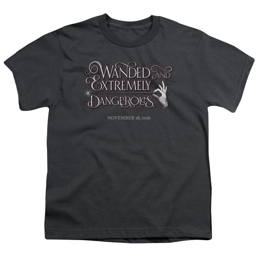 Fantastic Beasts Wanded Kids Youth T Shirt Charcoal