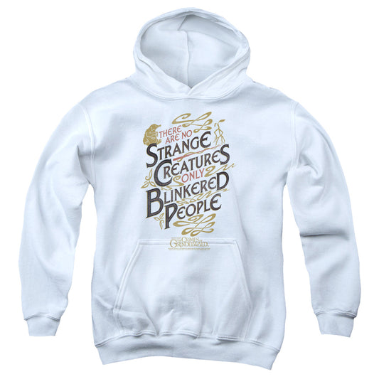 Fantastic Beasts 2 Blinkered People Kids Youth Hoodie White