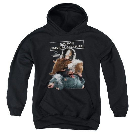 Fantastic Beasts 2 Cuddle Puddle Kids Youth Hoodie Black