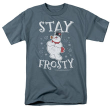 Load image into Gallery viewer, Frosty The Snowman Stay Frosty Mens T Shirt Slate