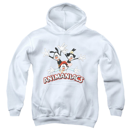 Animaniacs Animaniacs Trio Kids Youth Hoodie White