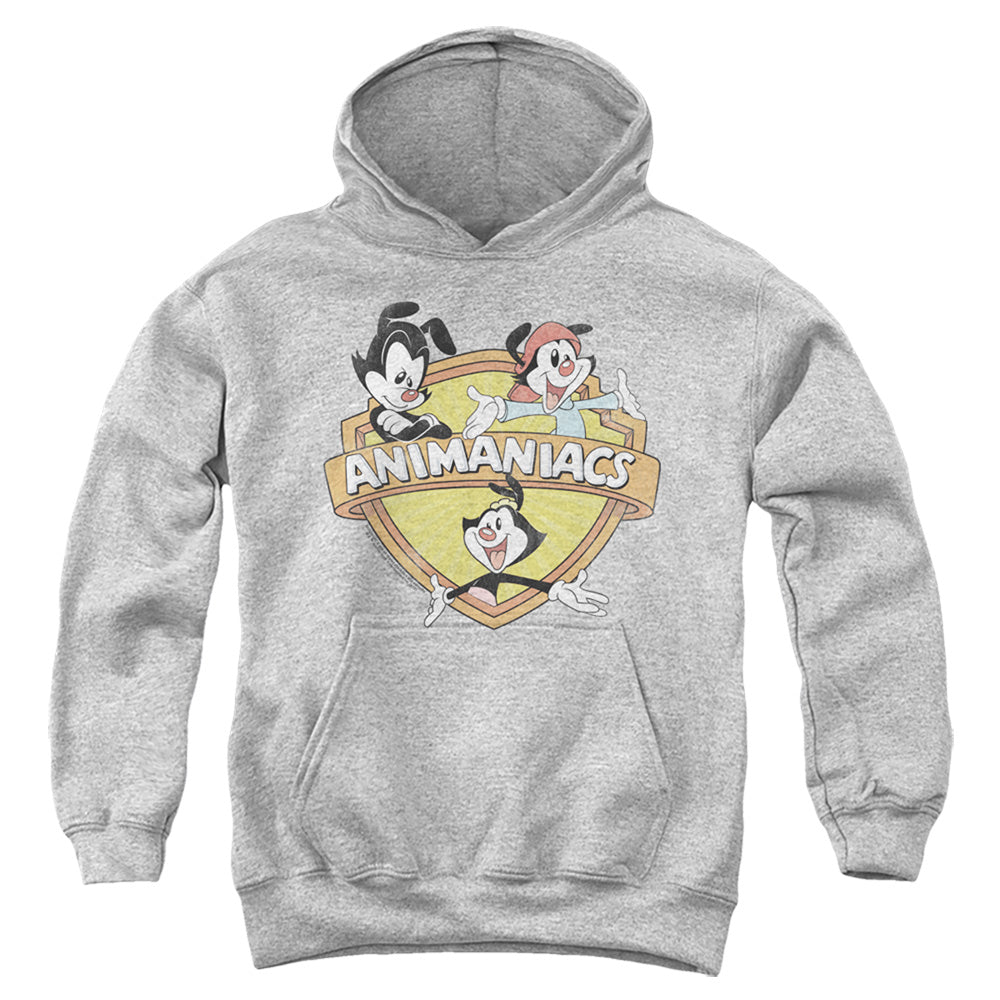 Animaniacs Shielded Animaniacs Kids Youth Hoodie Athletic Heather