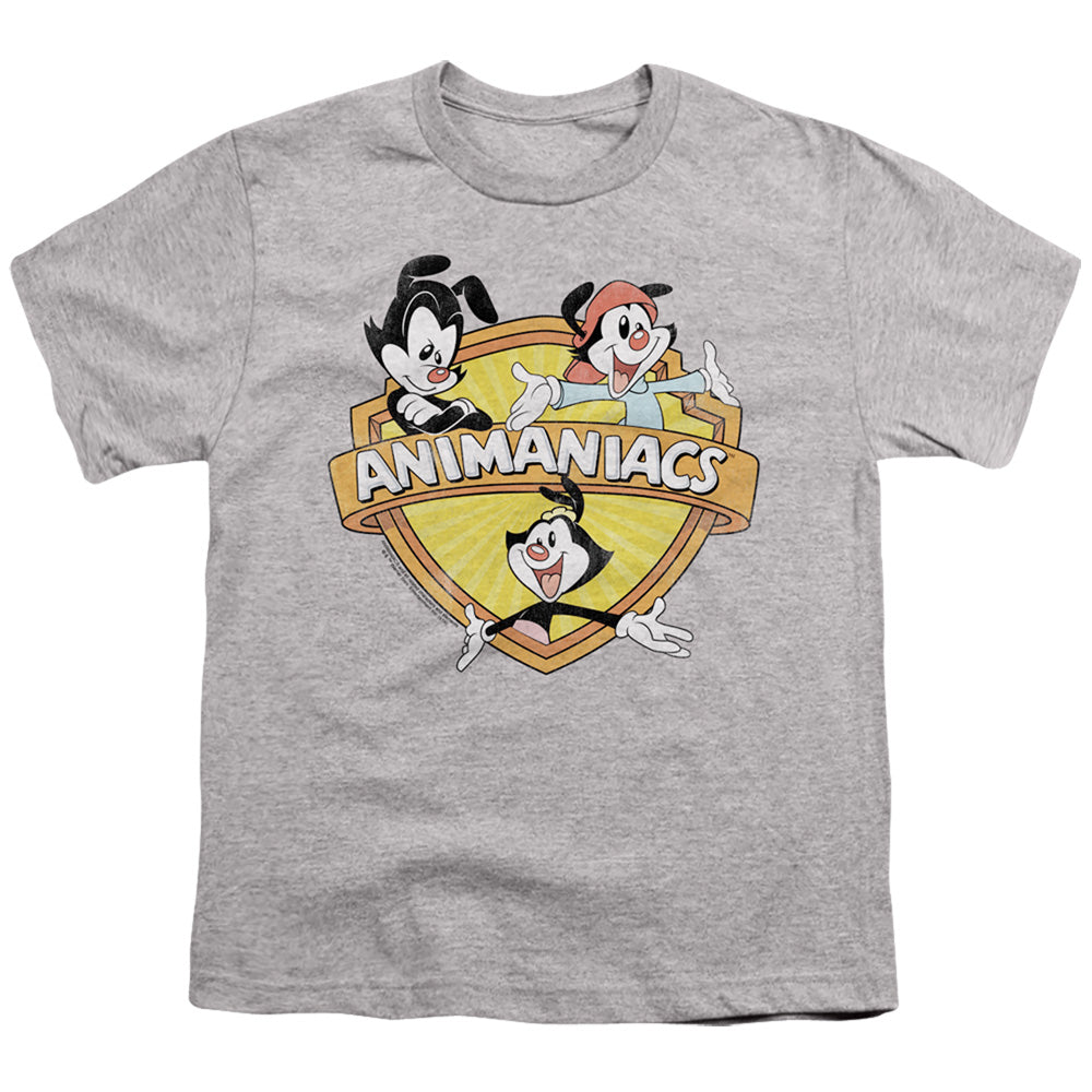 Animaniacs Shielded Animaniacs Kids Youth T Shirt Athletic Heather