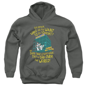 Pinky And The Brain The World Kids Youth Hoodie Charcoal