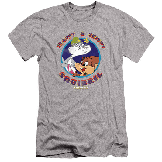 Animaniacs Slappy And Skippy Squirrel Slim Fit Mens T Shirt Athletic Heather