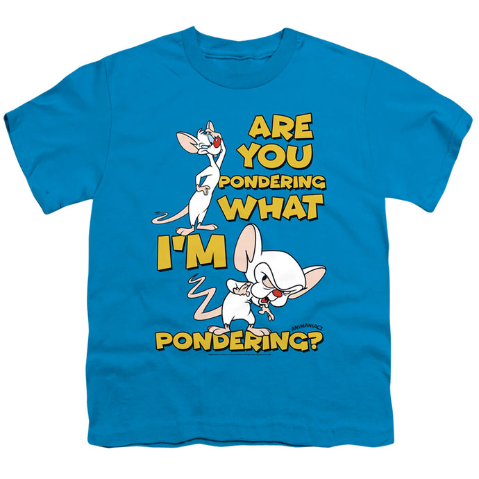 Pinky And The Brain Pondering Kids Youth T Shirt Turquoise