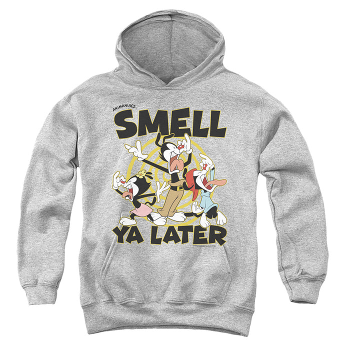 Animaniacs ell Ya Later Kids Youth Hoodie Athletic Heather