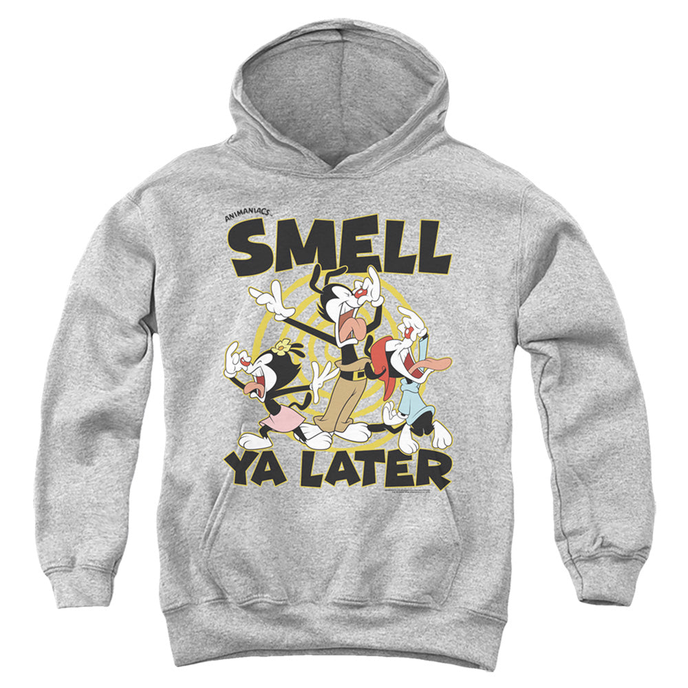 Animaniacs ell Ya Later Kids Youth Hoodie Athletic Heather