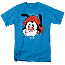 Load image into Gallery viewer, Animaniacs Gotta Go Mens T Shirt Turquoise